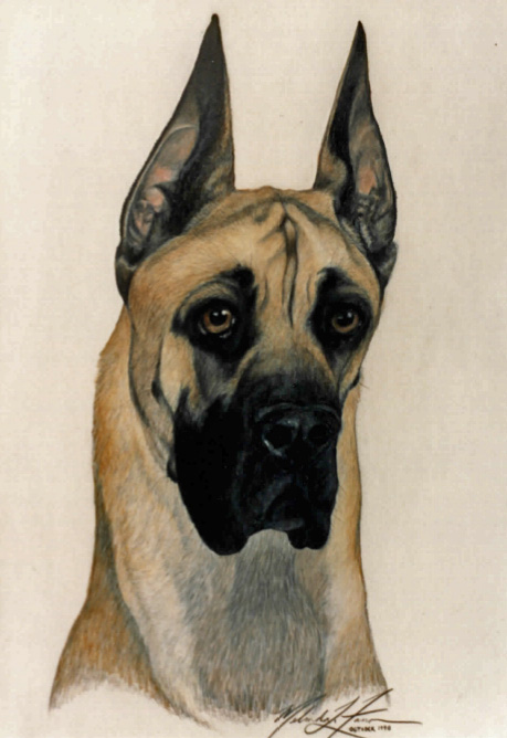 Portrait of great dane