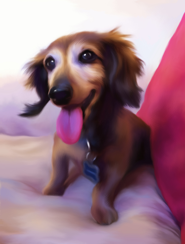 Portrait of dachshund