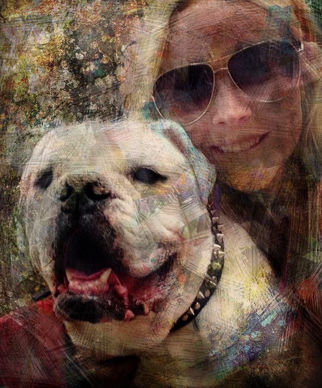 Portrait of bull dog