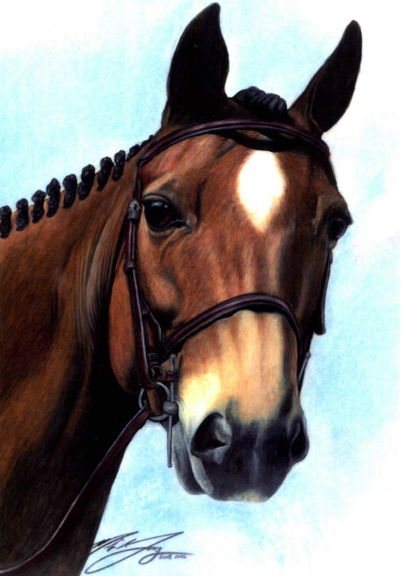 Portrait of horse
