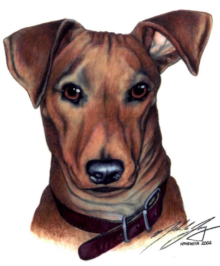 Portrait of dog